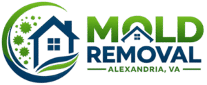 Mold Removal Alexandria VA