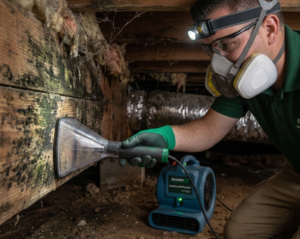 Crawl space mold removal services